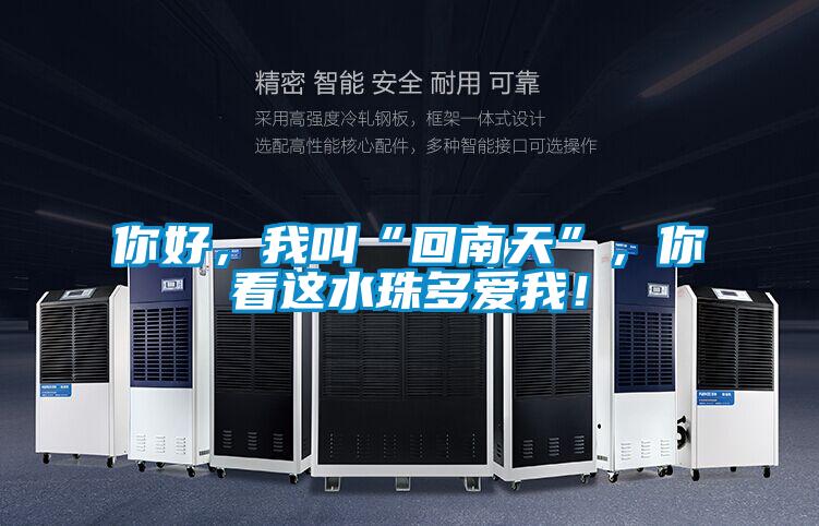 你好，我叫“回南天”，你看這水珠多愛我！