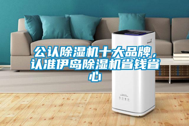 公認除濕機十大品牌，認準伊島除濕機省錢省心