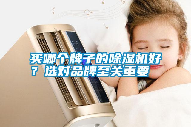 買哪個牌子的除濕機好？選對品牌至關重要