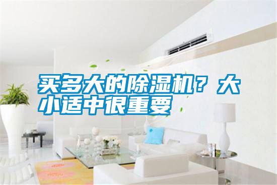 買多大的除濕機？大小適中很重要