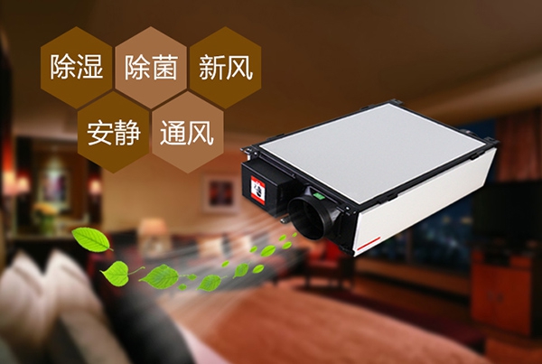 為什么冷庫除濕機會出現結霜的情況？