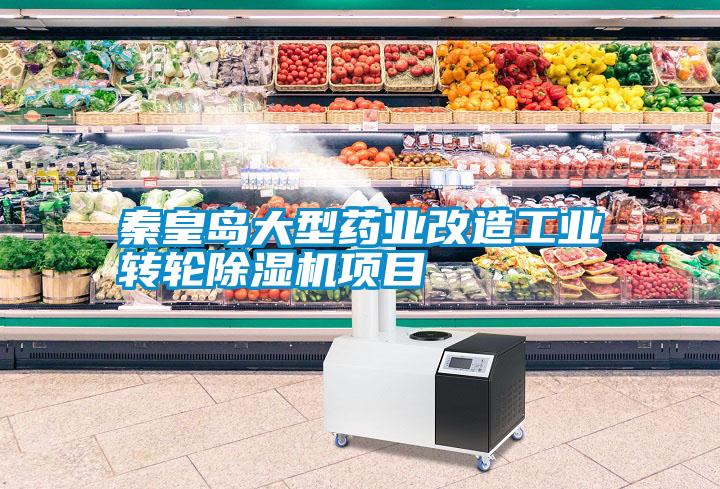 秦皇島大型藥業(yè)改造工業(yè)轉輪除濕機項目