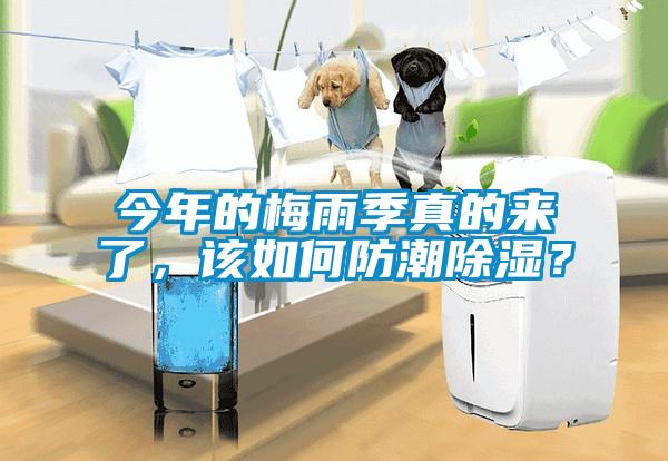 今年的梅雨季真的來(lái)了，該如何防潮除濕？