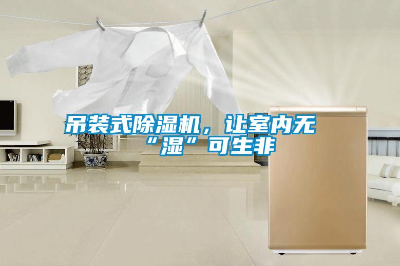 吊裝式除濕機，讓室內無“濕”可生非