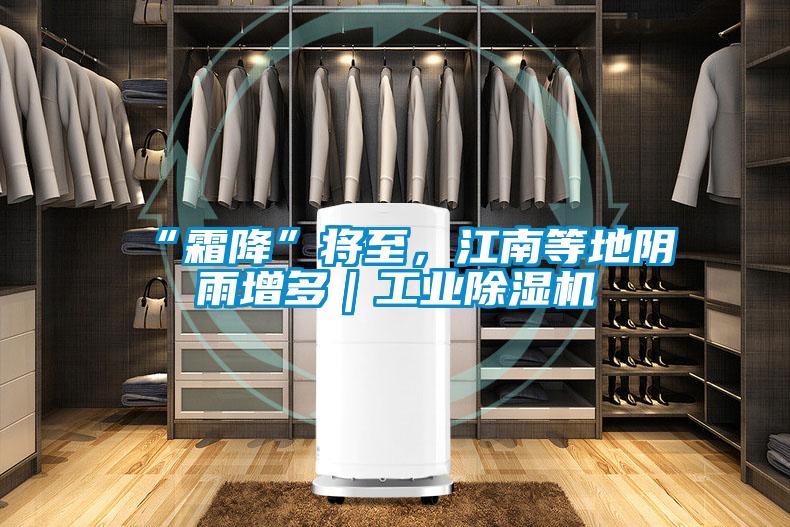 “霜降”將至，江南等地陰雨增多｜工業除濕機