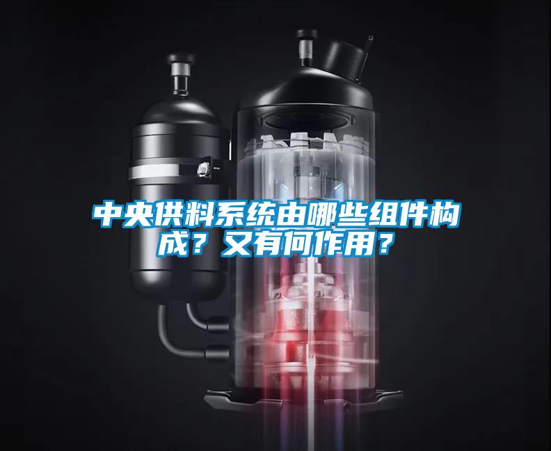 中央供料系統由哪些組件構成？又有何作用？