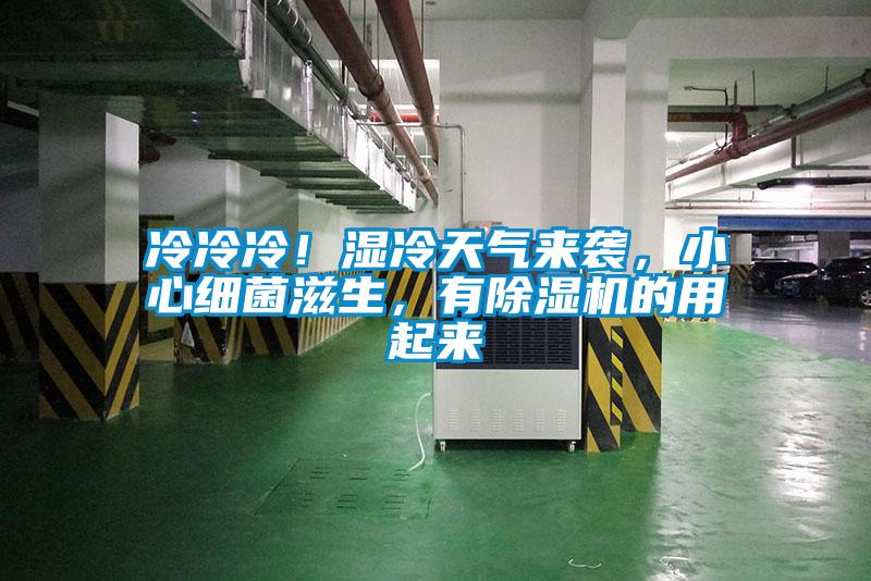冷冷冷！濕冷天氣來(lái)襲，小心細(xì)菌滋生，有除濕機(jī)的用起來(lái)