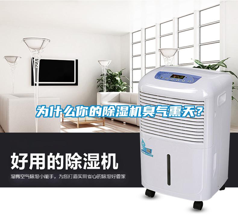 為什么你的除濕機臭氣熏天？