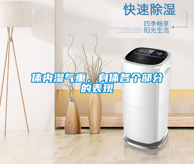 體內(nèi)濕氣重，身體各個部分的表現(xiàn)