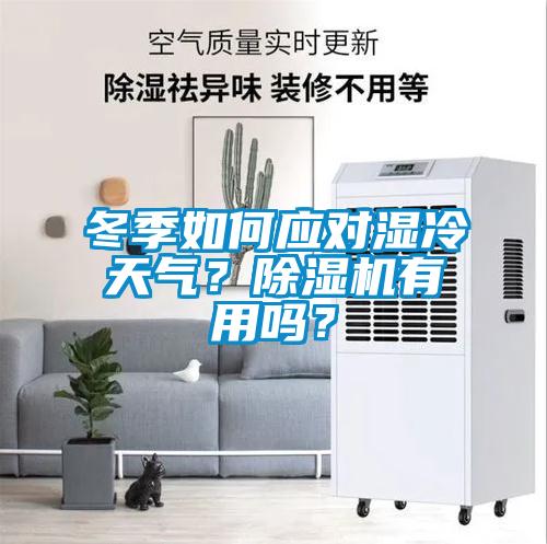 冬季如何應對濕冷天氣？除濕機有用嗎？