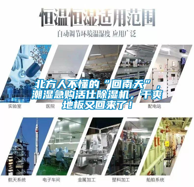 北方人不懂的“回南天”，潮濕急購(gòu)活仕除濕機(jī)，干爽地板又回來(lái)了！