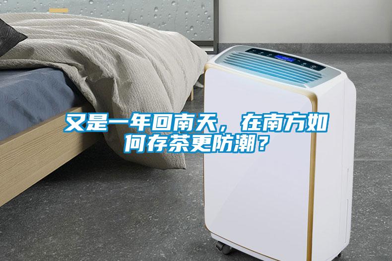 又是一年回南天，在南方如何存茶更防潮？