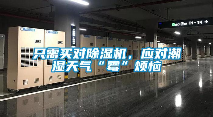 只需買對(duì)除濕機(jī)，應(yīng)對(duì)潮濕天氣“霉”煩惱
