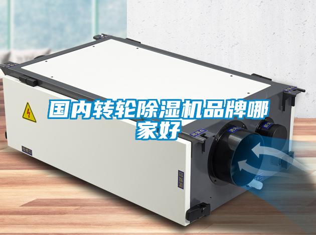國內(nèi)轉輪除濕機品牌哪家好