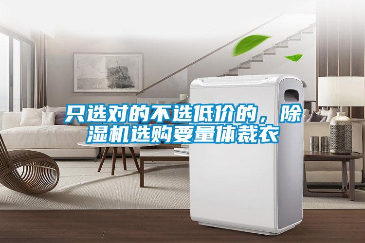只選對的不選低價的，除濕機選購要量體裁衣