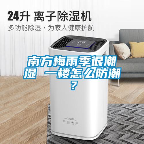 南方梅雨季很潮濕 一樓怎么防潮？