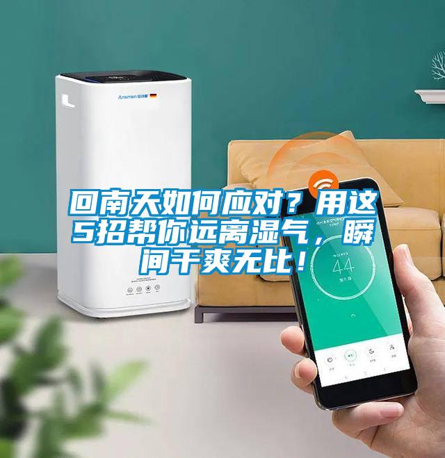 回南天如何應(yīng)對？用這5招幫你遠離濕氣，瞬間干爽無比！