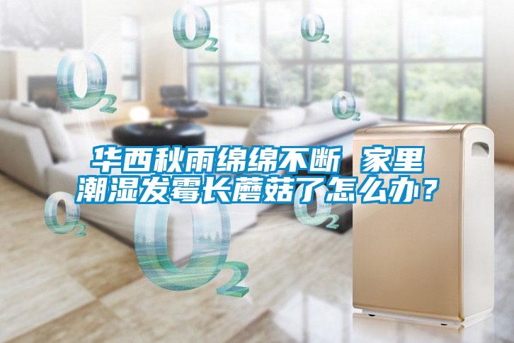 華西秋雨綿綿不斷 家里潮濕發(fā)霉長(zhǎng)蘑菇了怎么辦？