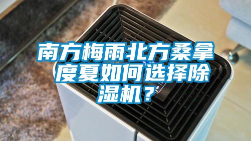 南方梅雨北方桑拿 度夏如何選擇除濕機？