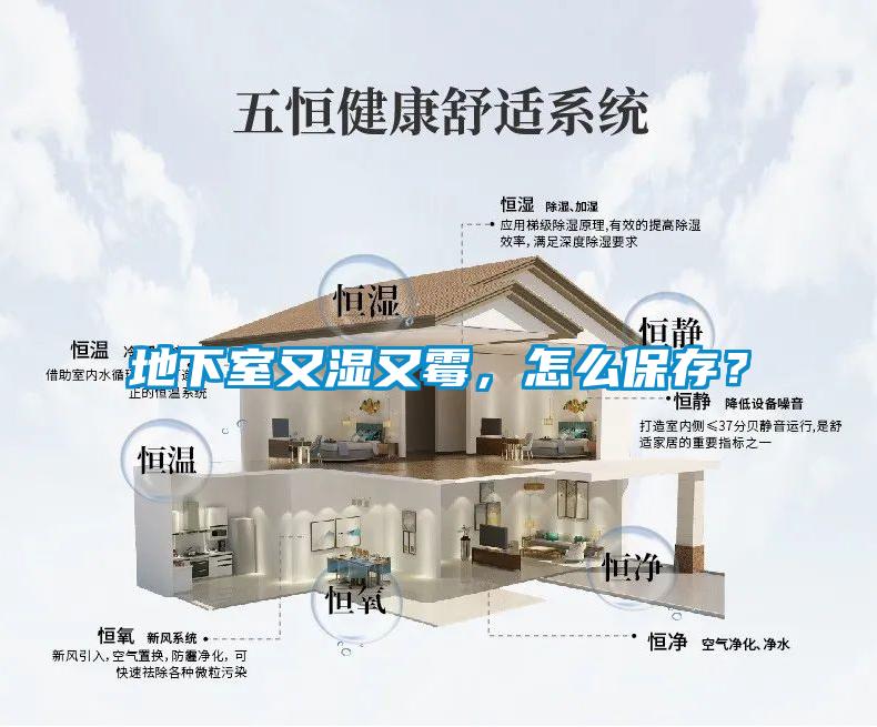 地下室又濕又霉，怎么保存？