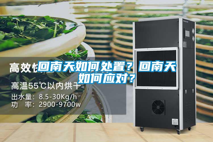 回南天如何處置？回南天如何應對？