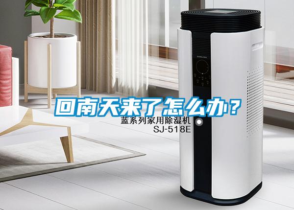 回南天來了怎么辦？