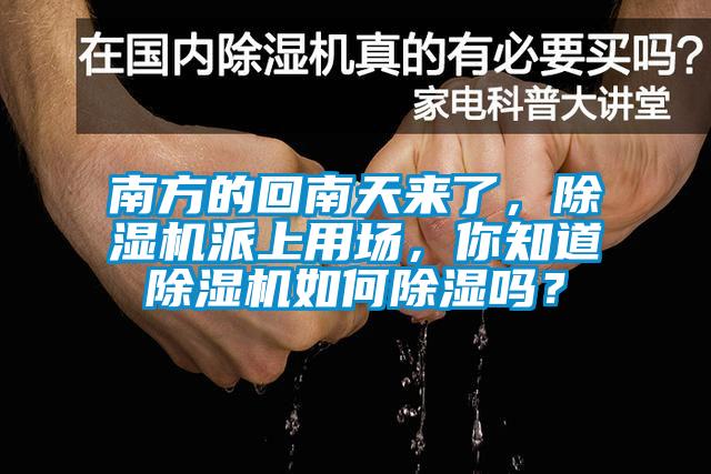 南方的回南天來了，除濕機派上用場，你知道除濕機如何除濕嗎？