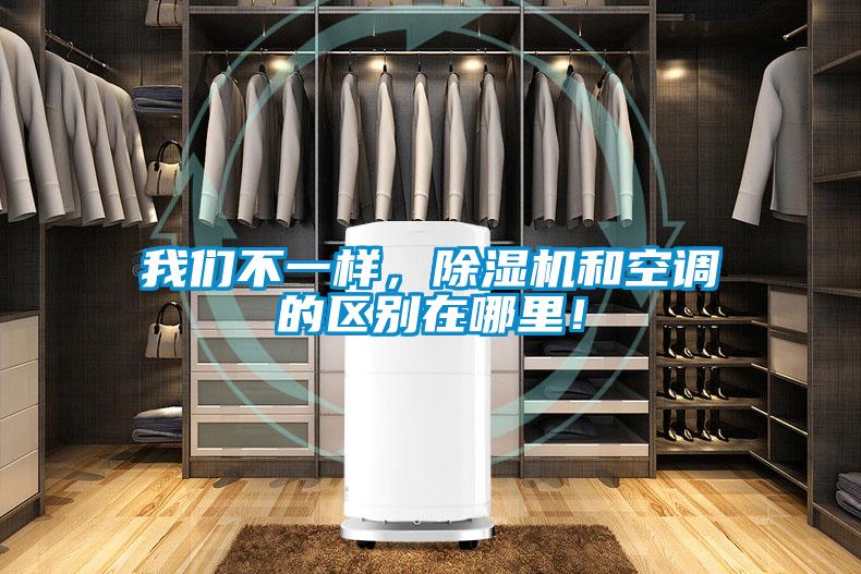 我們不一樣，除濕機和空調(diào)的區(qū)別在哪里！