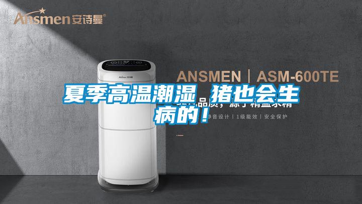 夏季高溫潮濕 豬也會生病的！