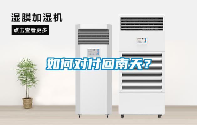 如何對付回南天？