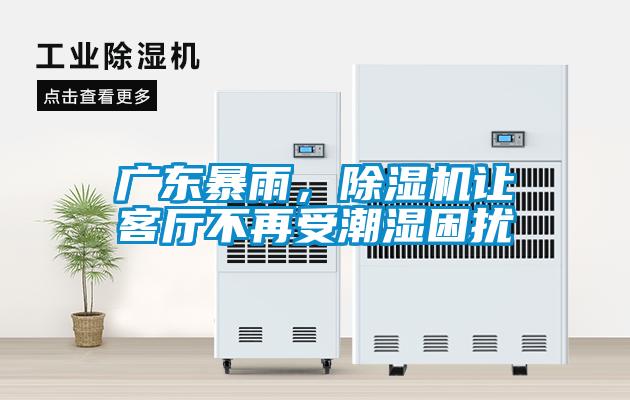 廣東暴雨，除濕機讓客廳不再受潮濕困擾