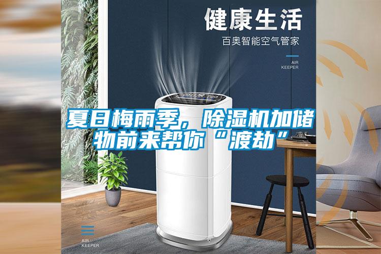 夏日梅雨季，除濕機加儲物前來幫你“渡劫”