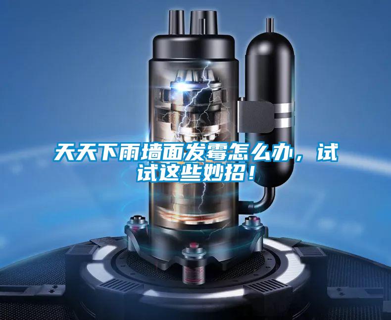天天下雨墻面發霉怎么辦，試試這些妙招！