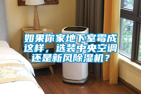 如果你家地下室霉成這樣，選裝中央空調(diào)還是新風除濕機？