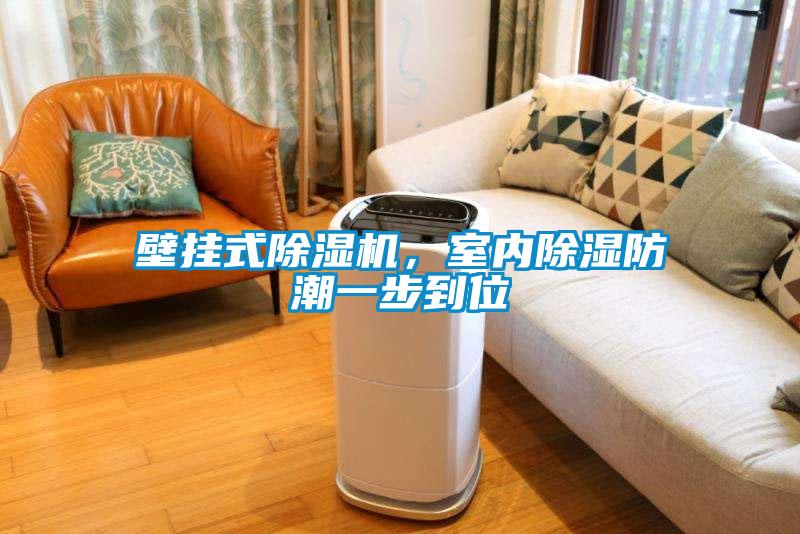 壁掛式除濕機，室內除濕防潮一步到位