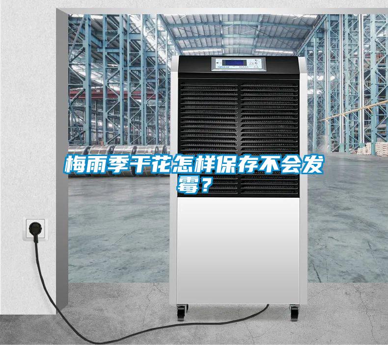 梅雨季干花怎樣保存不會(huì)發(fā)霉？