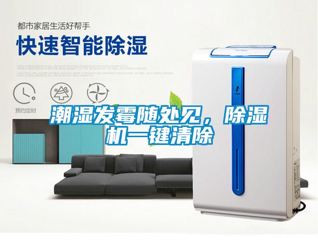 潮濕發霉隨處見，除濕機一鍵清除
