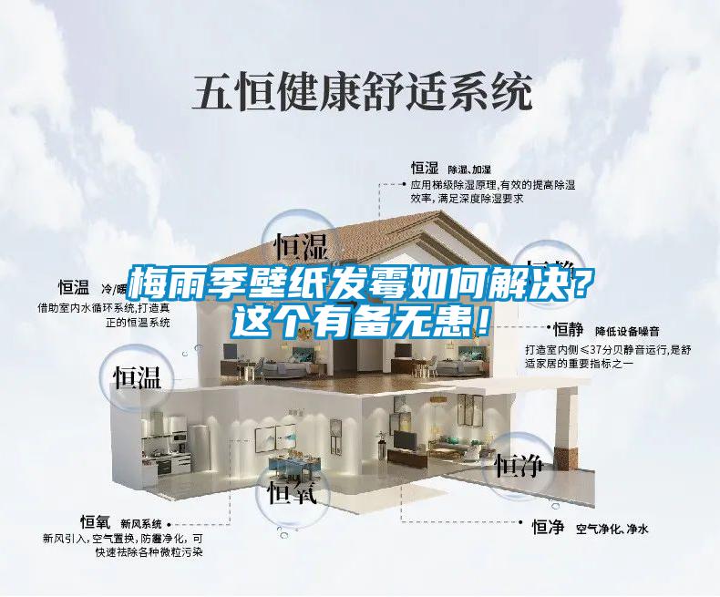 梅雨季壁紙發(fā)霉如何解決？這個(gè)有備無患！