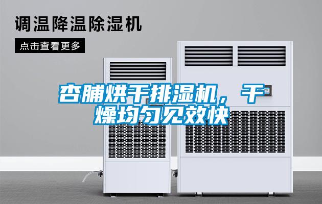 杏脯烘干排濕機(jī)，干燥均勻見效快