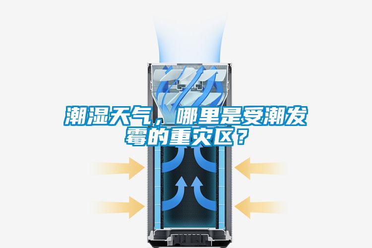 潮濕天氣，哪里是受潮發霉的重災區？