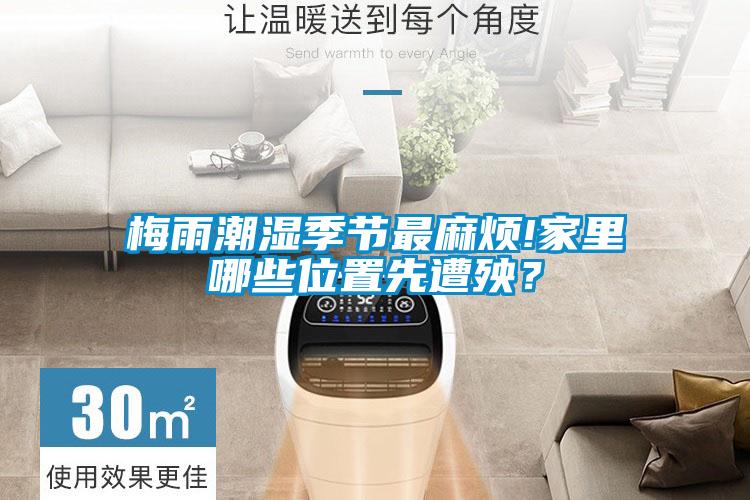 梅雨潮濕季節最麻煩!家里哪些位置先遭殃？
