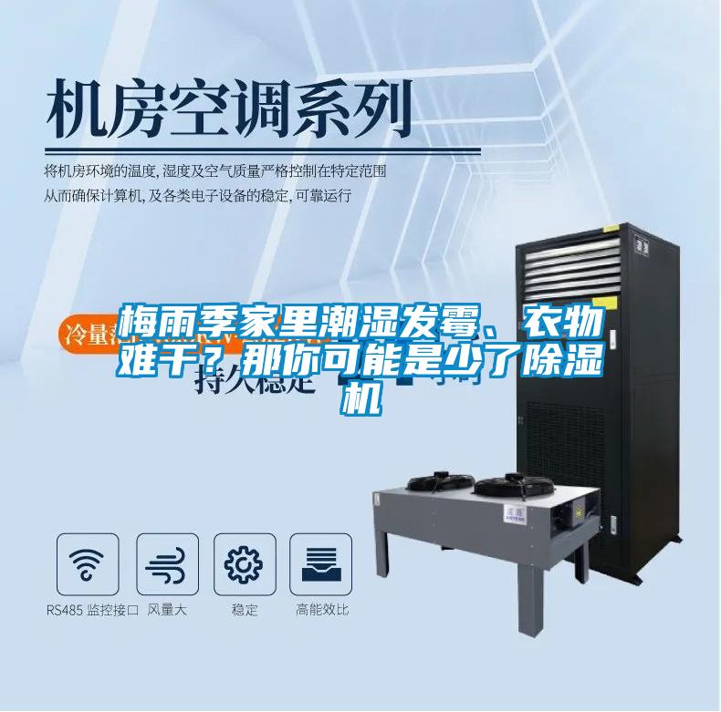 梅雨季家里潮濕發(fā)霉、衣物難干？那你可能是少了除濕機(jī)