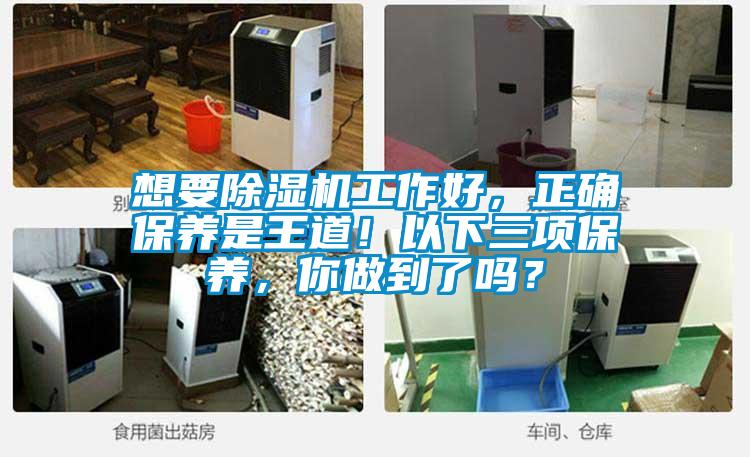 想要除濕機工作好，正確保養是王道！以下三項保養，你做到了嗎？