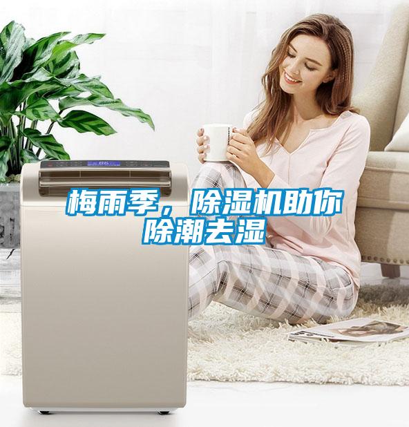 梅雨季，除濕機助你除潮去濕
