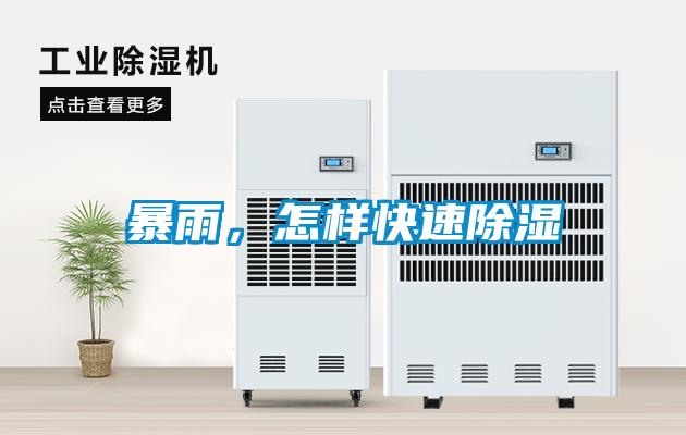 暴雨，怎樣快速除濕