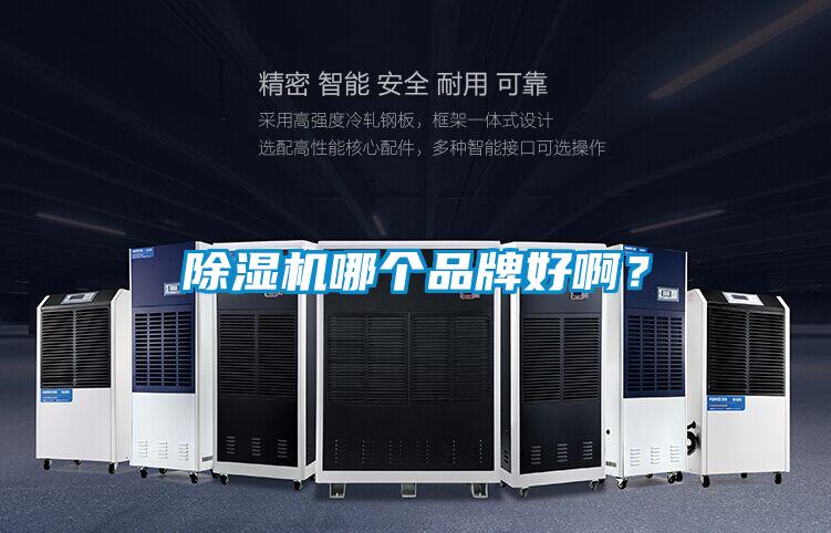 除濕機(jī)哪個(gè)品牌好?。?/></p>
						    <p style=
