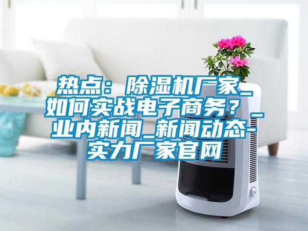 熱點：除濕機廠家_如何實戰電子商務？_業內新聞_新聞動態-實力廠家官網