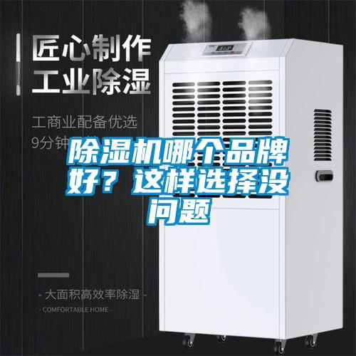 除濕機(jī)哪個品牌好？這樣選擇沒問題
