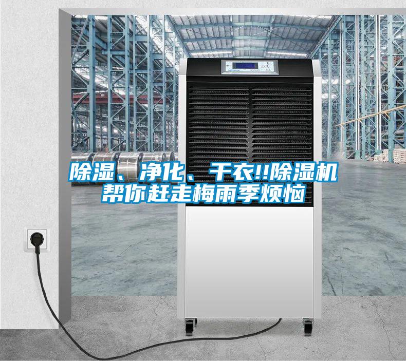 除濕、凈化、干衣!!除濕機幫你趕走梅雨季煩惱