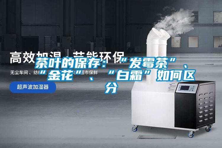 茶葉的保存：“發霉茶”、“金花”、“白霜”如何區分